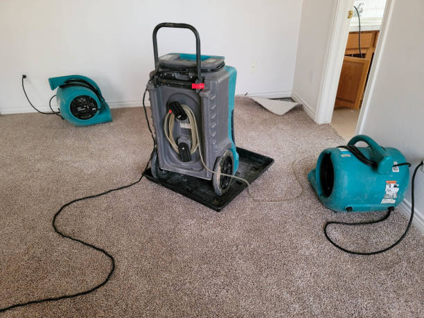 Best Commercial water damage restoration  in Camp Springs, MD