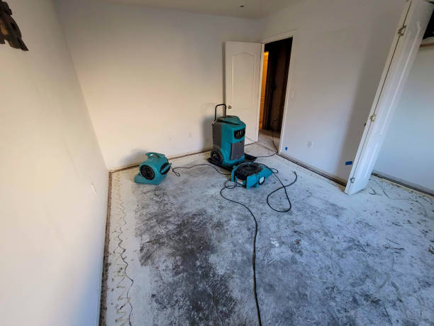 Best Flooded house restoration  in Camp Springs, MD