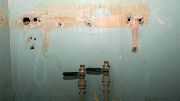 Camp Springs, MD Water damage restoration Pros